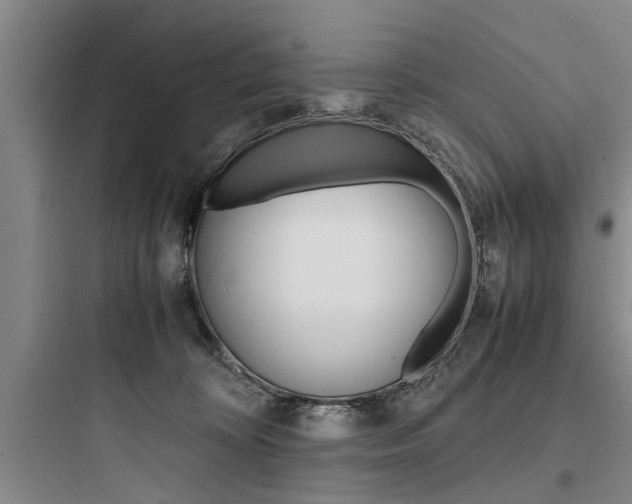 X0000097960324200803241048
