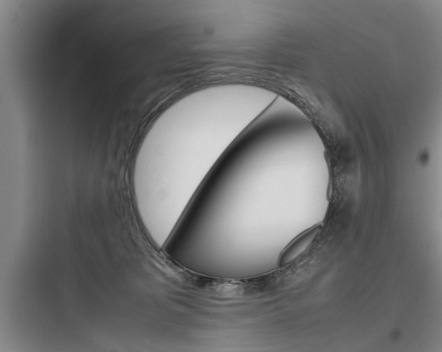 X0000097960325200803241048