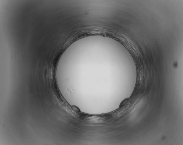 X0000097960326200803241048