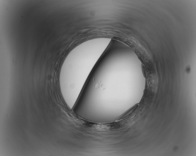 X0000097960327200803241048