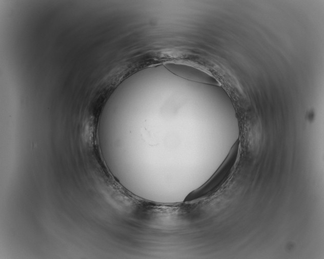 X0000097960328200803241048