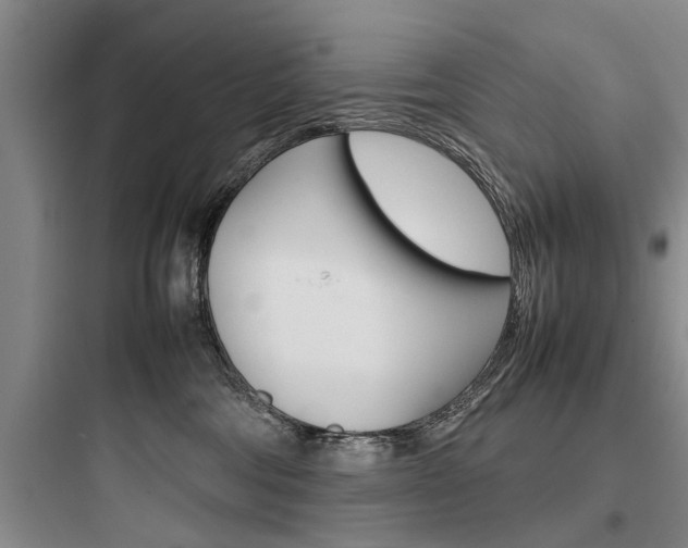 X0000097960330200803241047