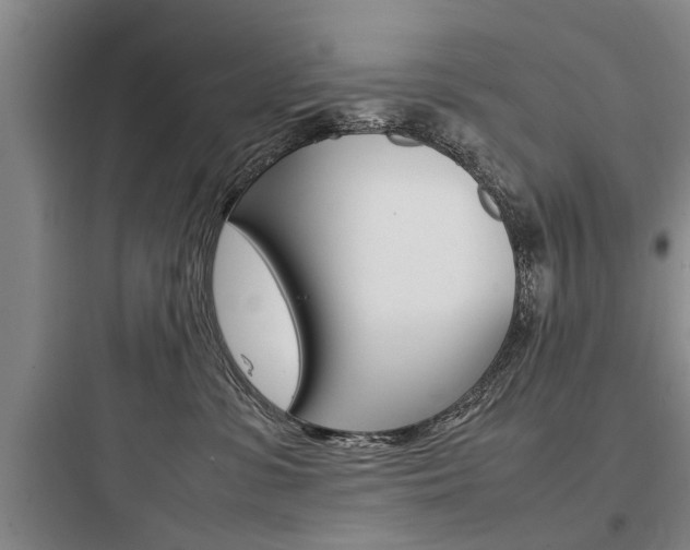 X0000097960331200803241047
