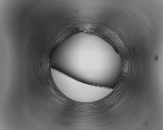 X0000097960332200803241047