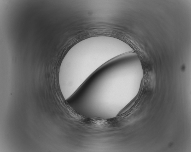 X0000097960333200803241047