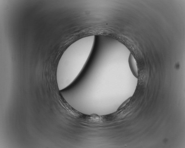 X0000097960335200803241047