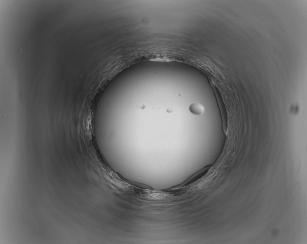 X0000097960336200803241047