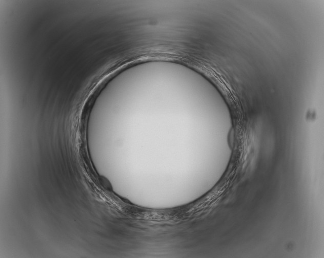 X0000097960338200803241047