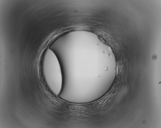 X0000097960339200803241047