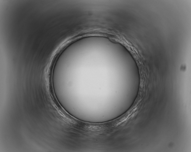 X0000097960341200803241047