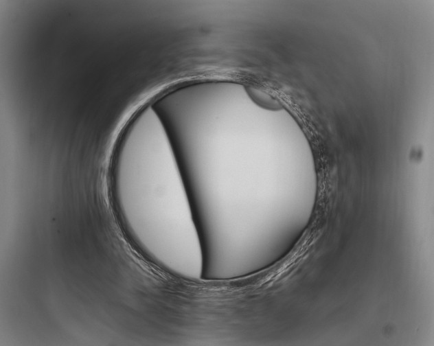 X0000097960342200803241047