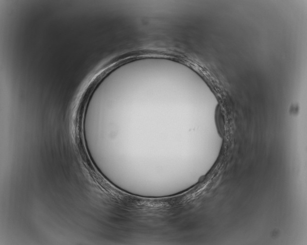 X0000097960343200803241047