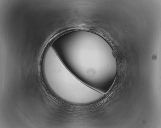 X0000097960344200803241047