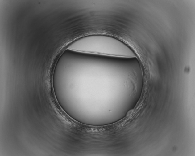 X0000097960345200803241047