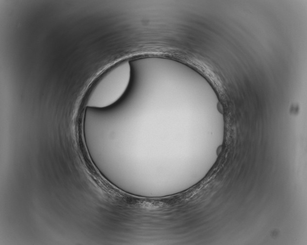 X0000097960346200803241047