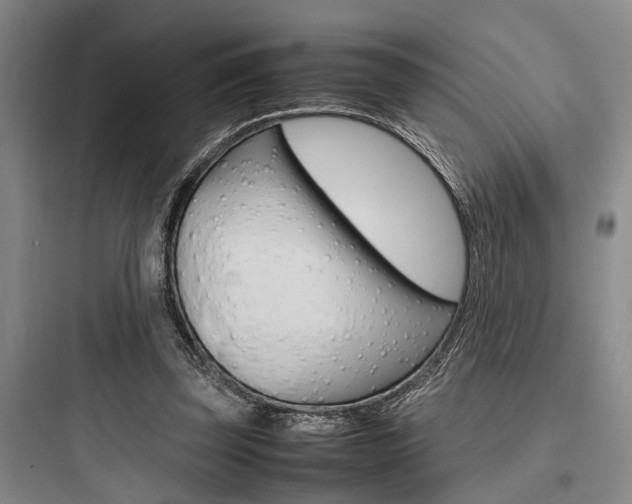 X0000097960347200803241047
