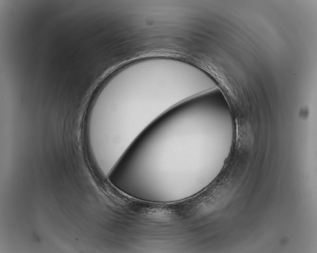 X0000097960348200803241047