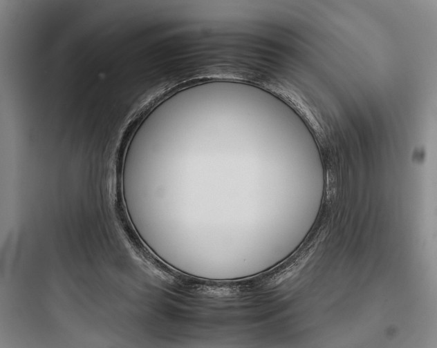 X0000097960349200803241047