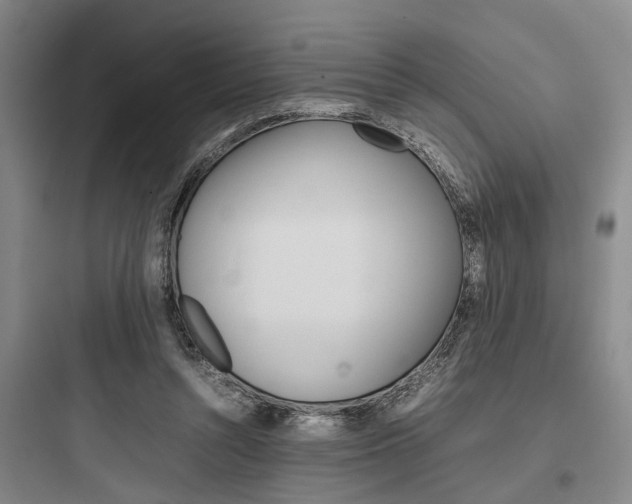 X0000097960352200803241047