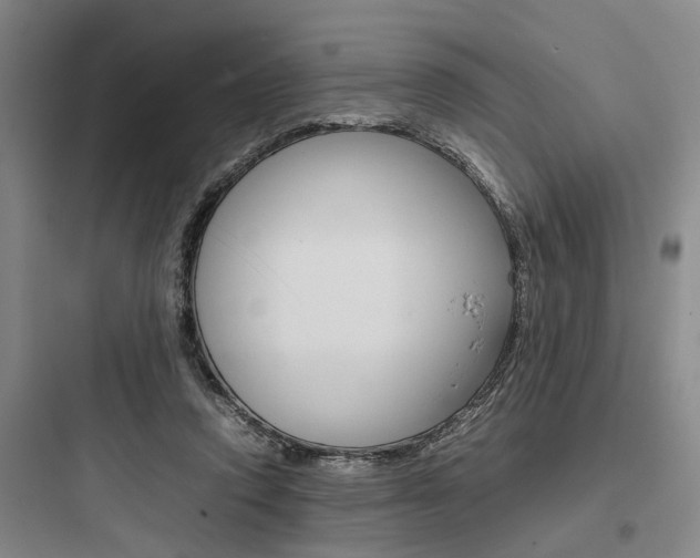 X0000097960354200803241047