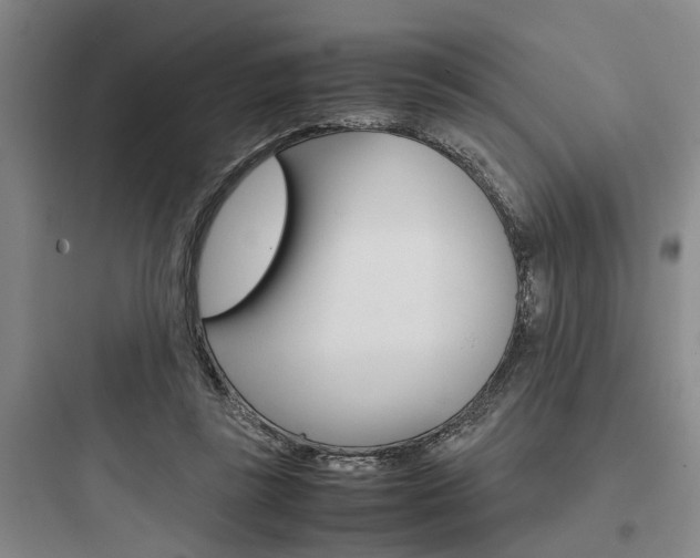 X0000097960355200803241047