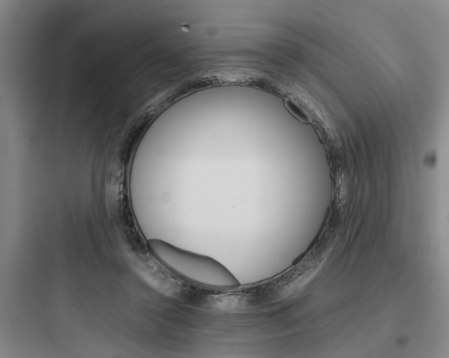 X0000097960356200803241047