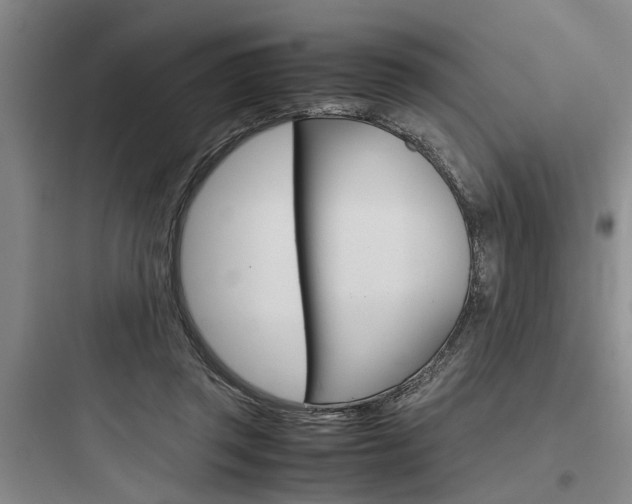 X0000097960357200803241047