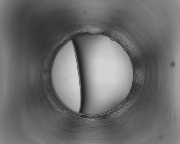 X0000097960358200803241047