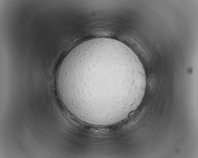X0000097960359200803241047
