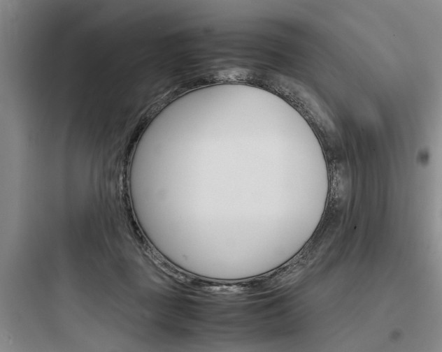 X0000097960363200803241047