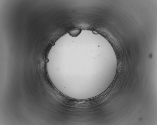 X0000097960365200803241047