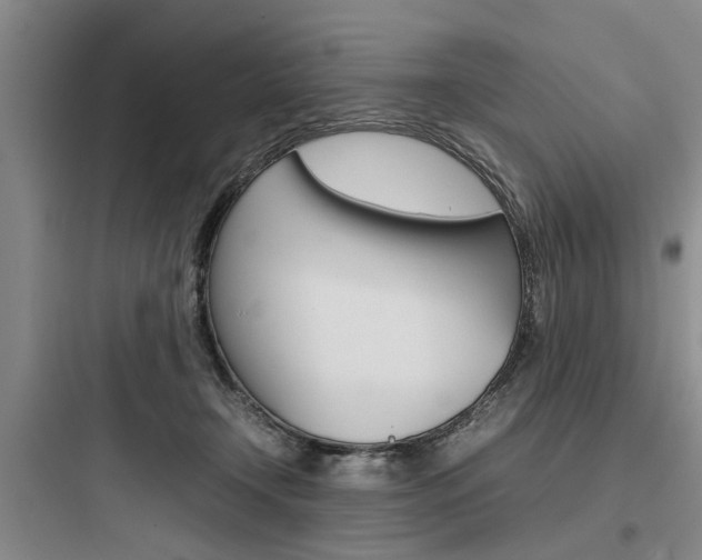 X0000097960366200803241047