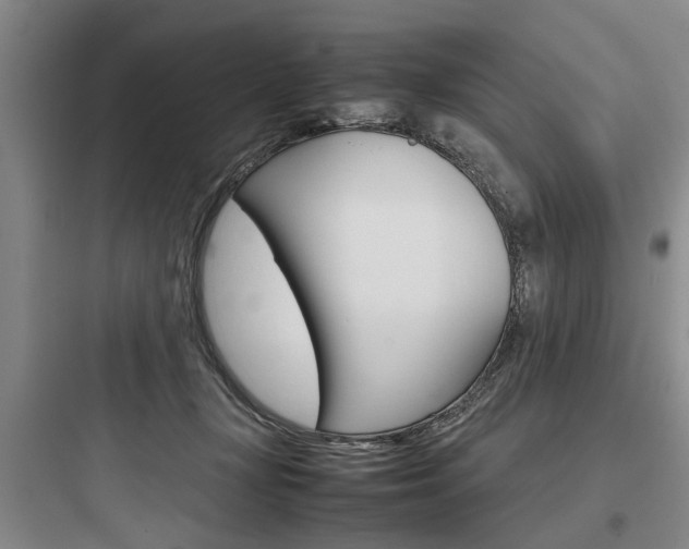 X0000097960367200803241047