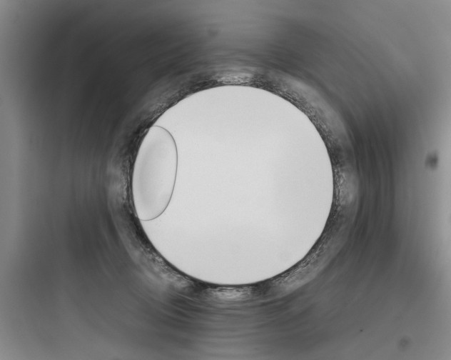 X0000097960370200803241047