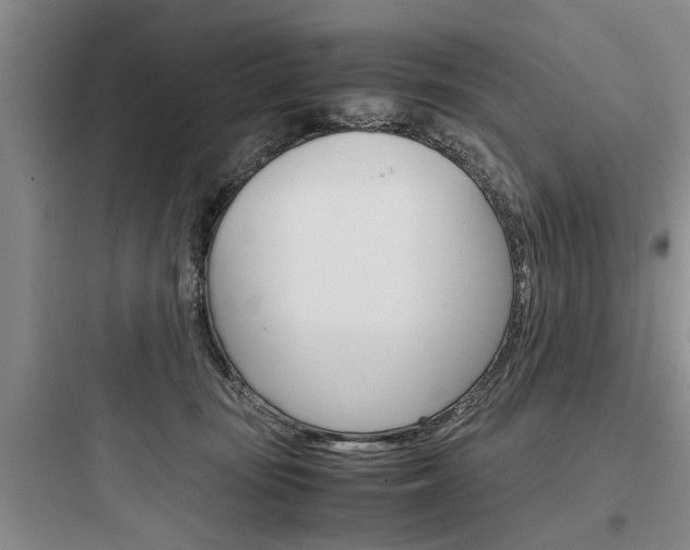 X0000097960371200803241047