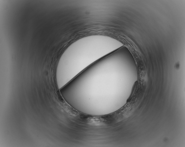 X0000097960372200803241047
