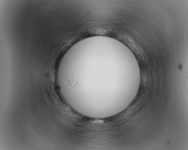 X0000097960374200803241047