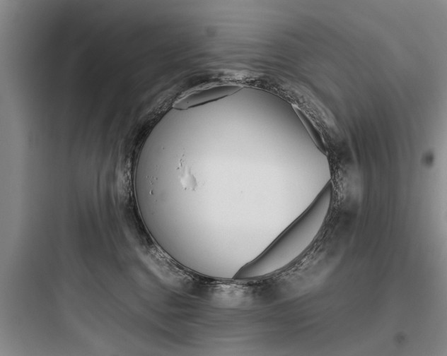 X0000097960376200803241047