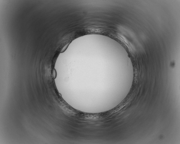 X0000097960377200803241047