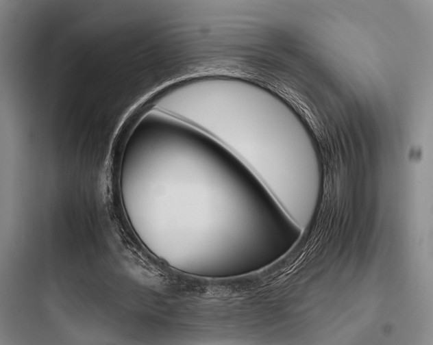 X0000097960388200803241047
