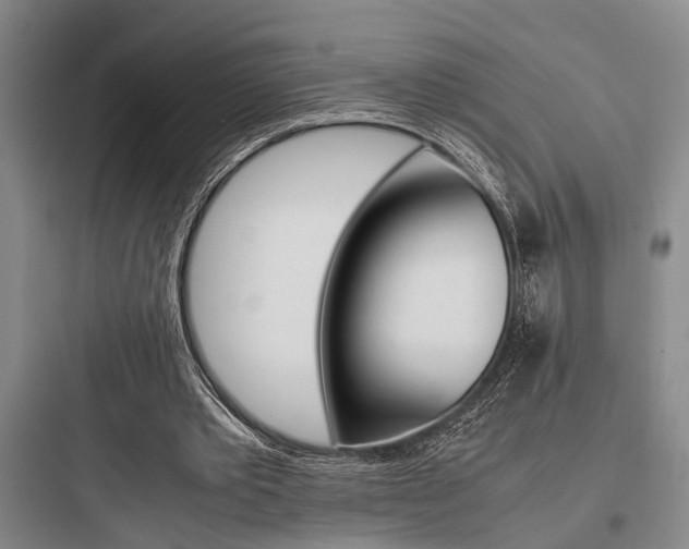 X0000097960389200803241047