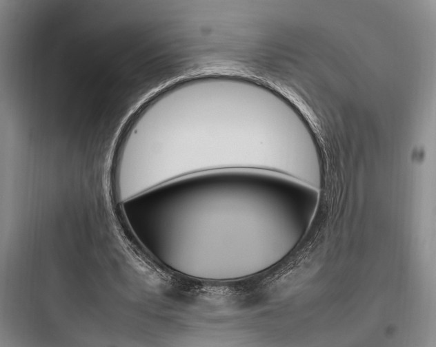 X0000097960391200803241046