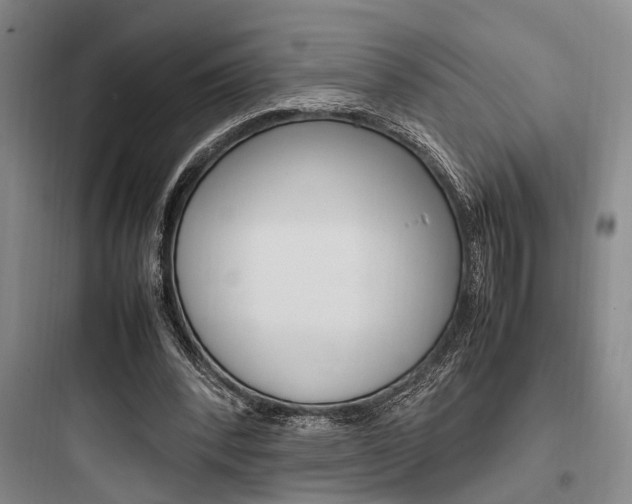 X0000097960392200803241046