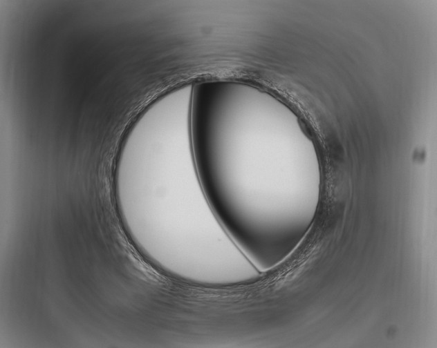 X0000097960393200803241046