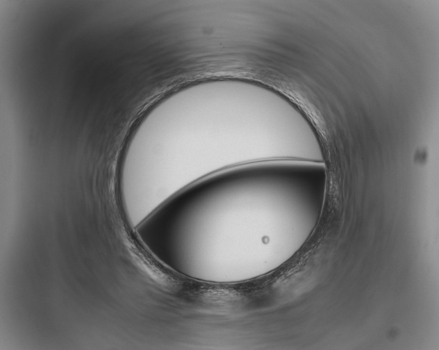 X0000097960397200803241046