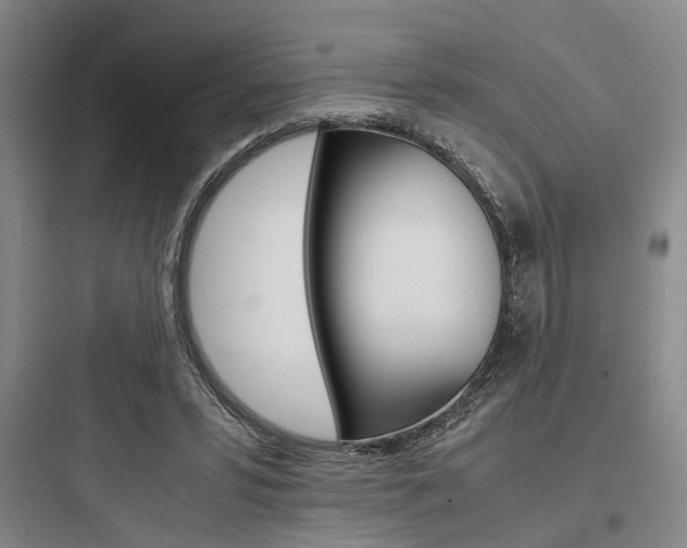 X0000097960399200803241046