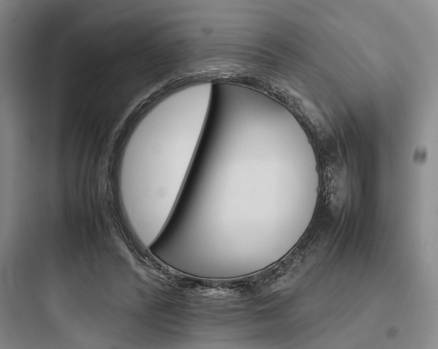 X0000097960400200803241046