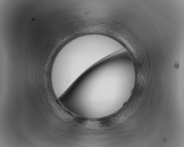 X0000097960403200803241046