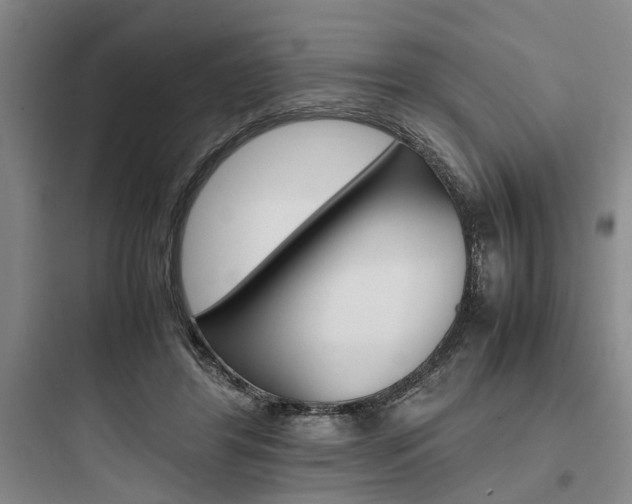 X0000097960404200803241046