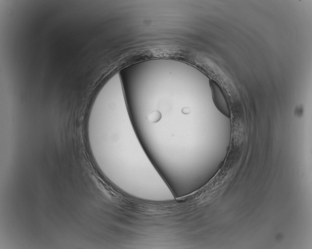 X0000097960405200803241046
